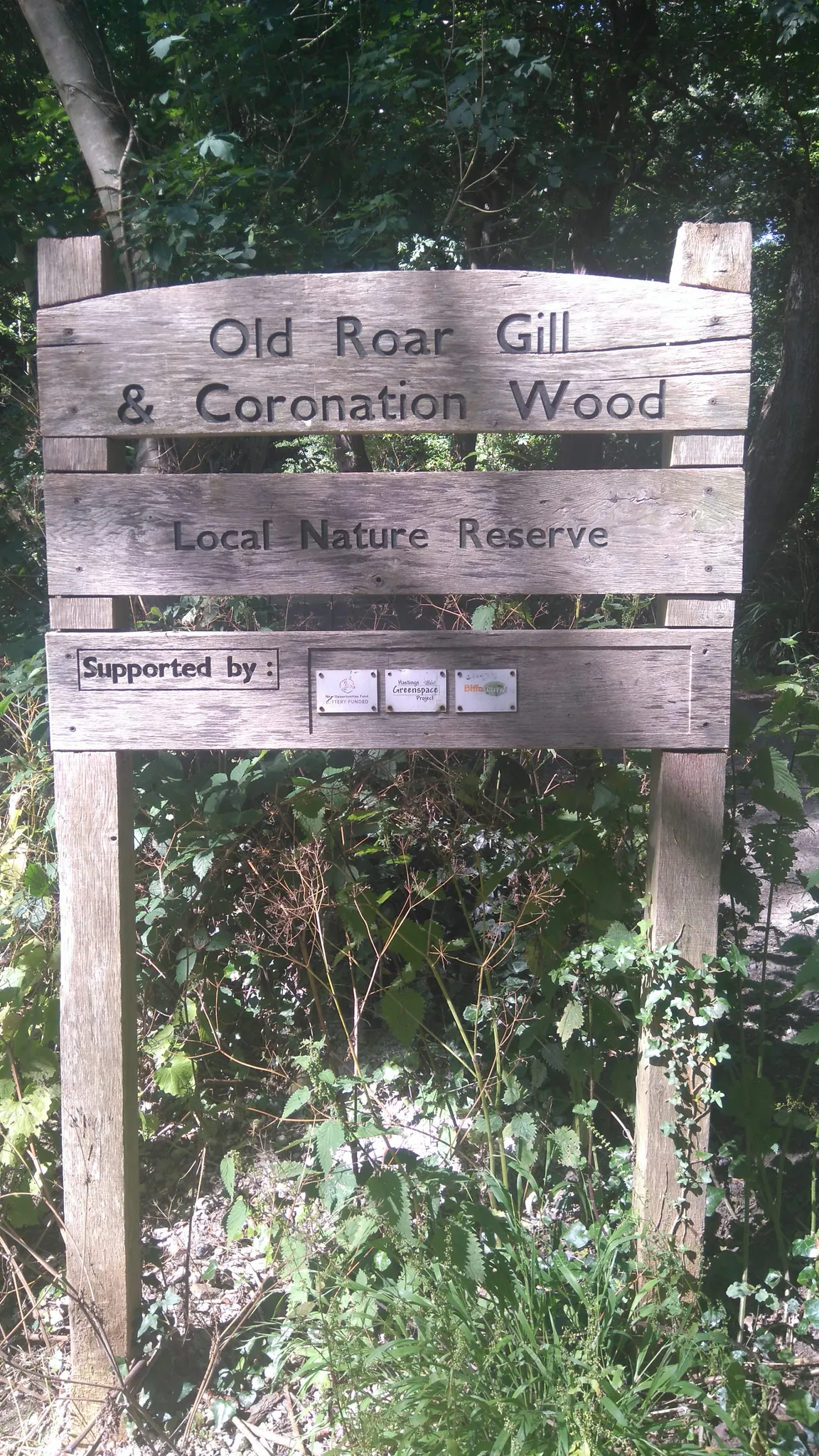 Old Roar Gill
