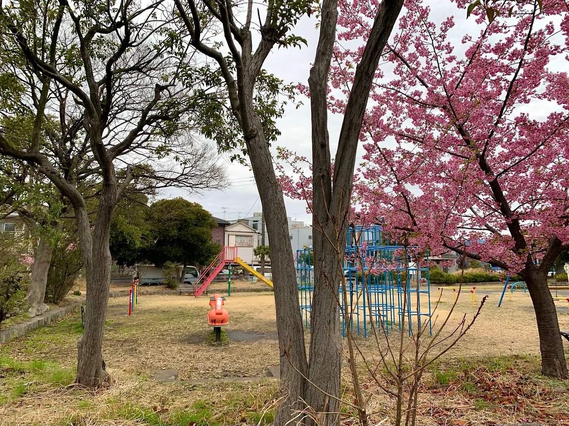 Nakahama Park