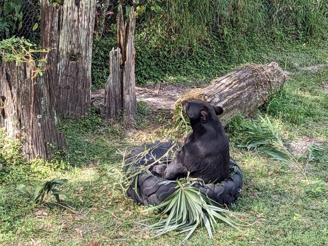 ZooTampa at Lowry Park