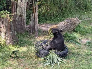 ZooTampa at Lowry Park