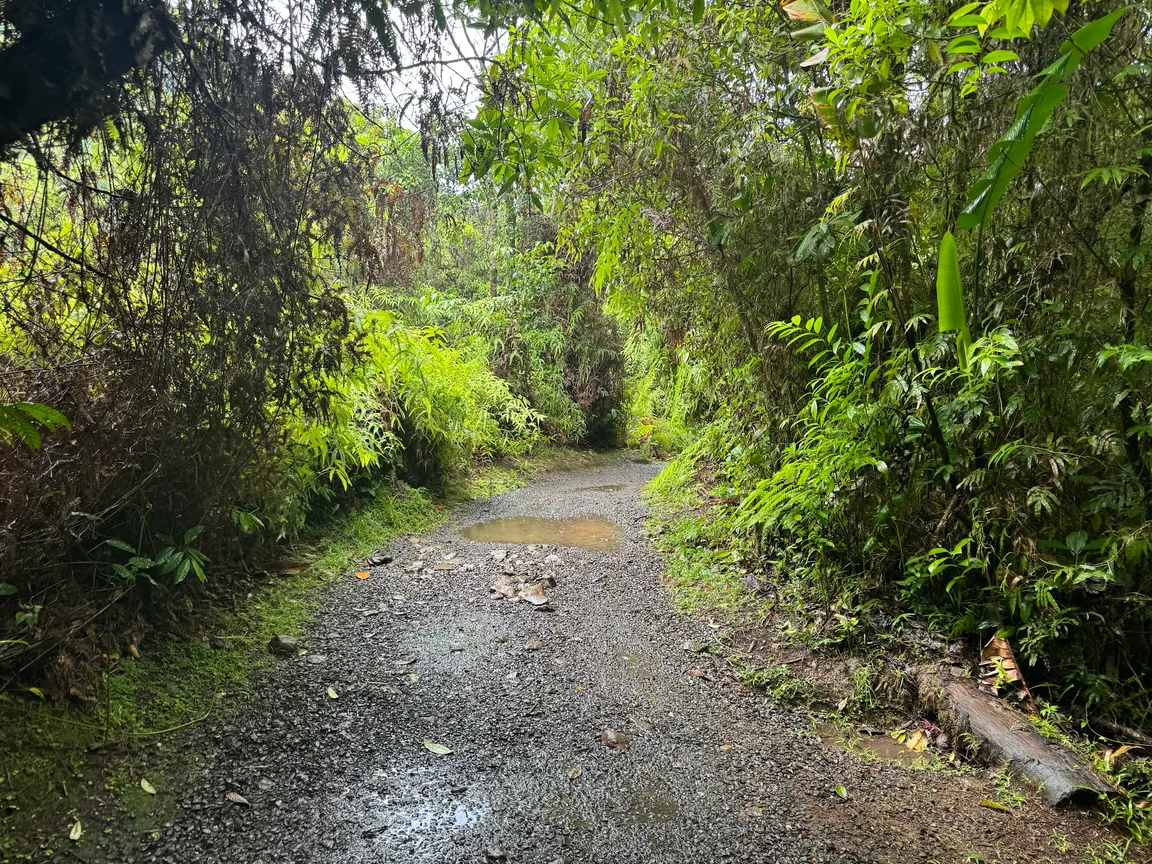 Parque Nacional Volcán Tenorio