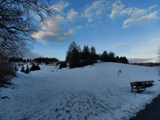 Ogród Botaniczny