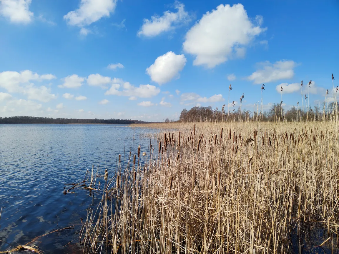 Ścieżka przyrodnicza "Spławy", początek jednego z 3 wejść