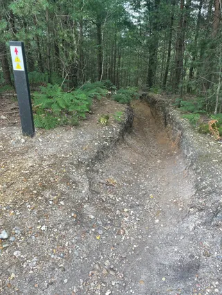 "Bikini Line" MTB Trail