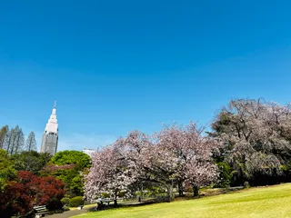 Shinjuku Gyoen National Garden