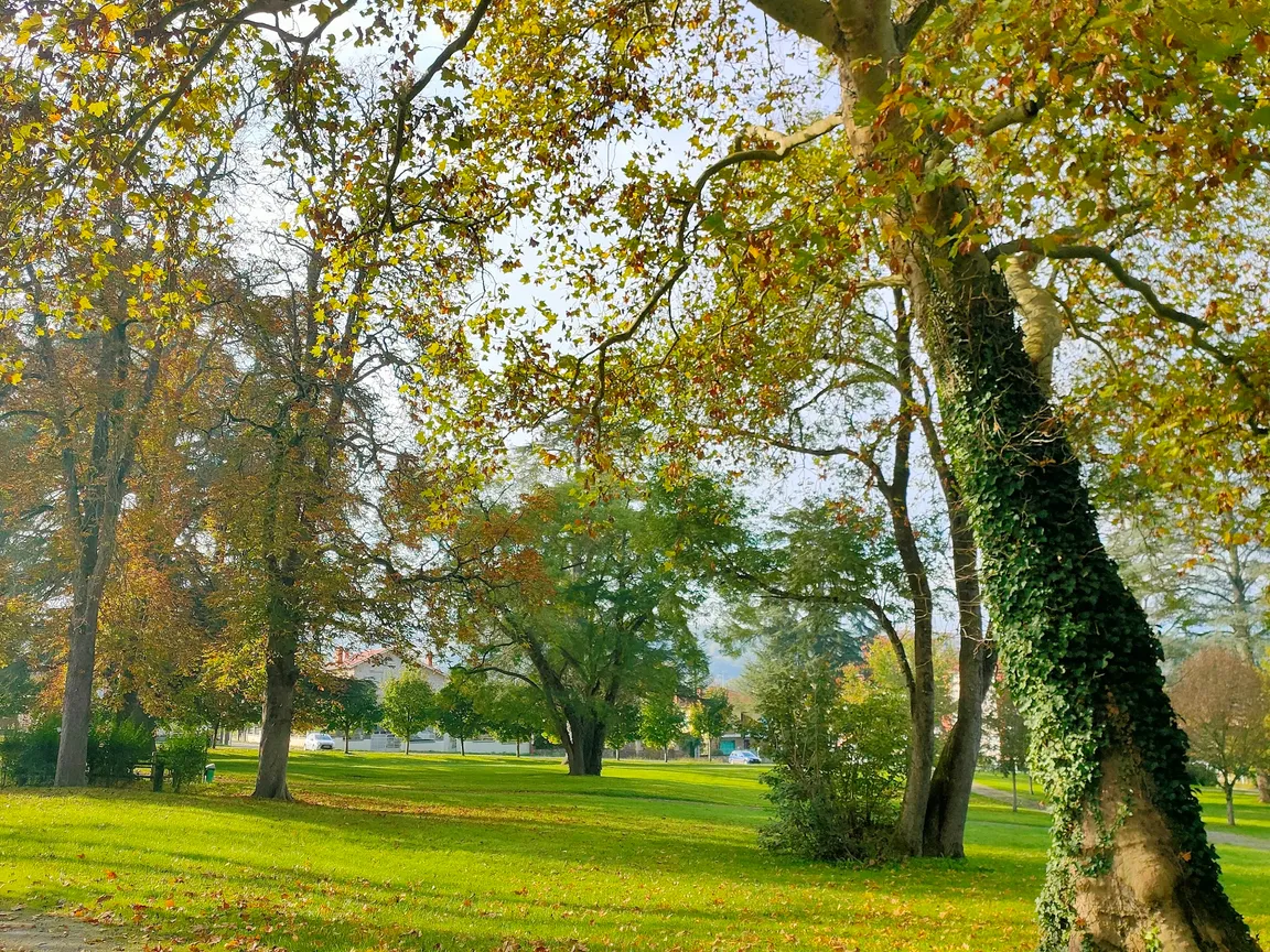 Parc de Capèle