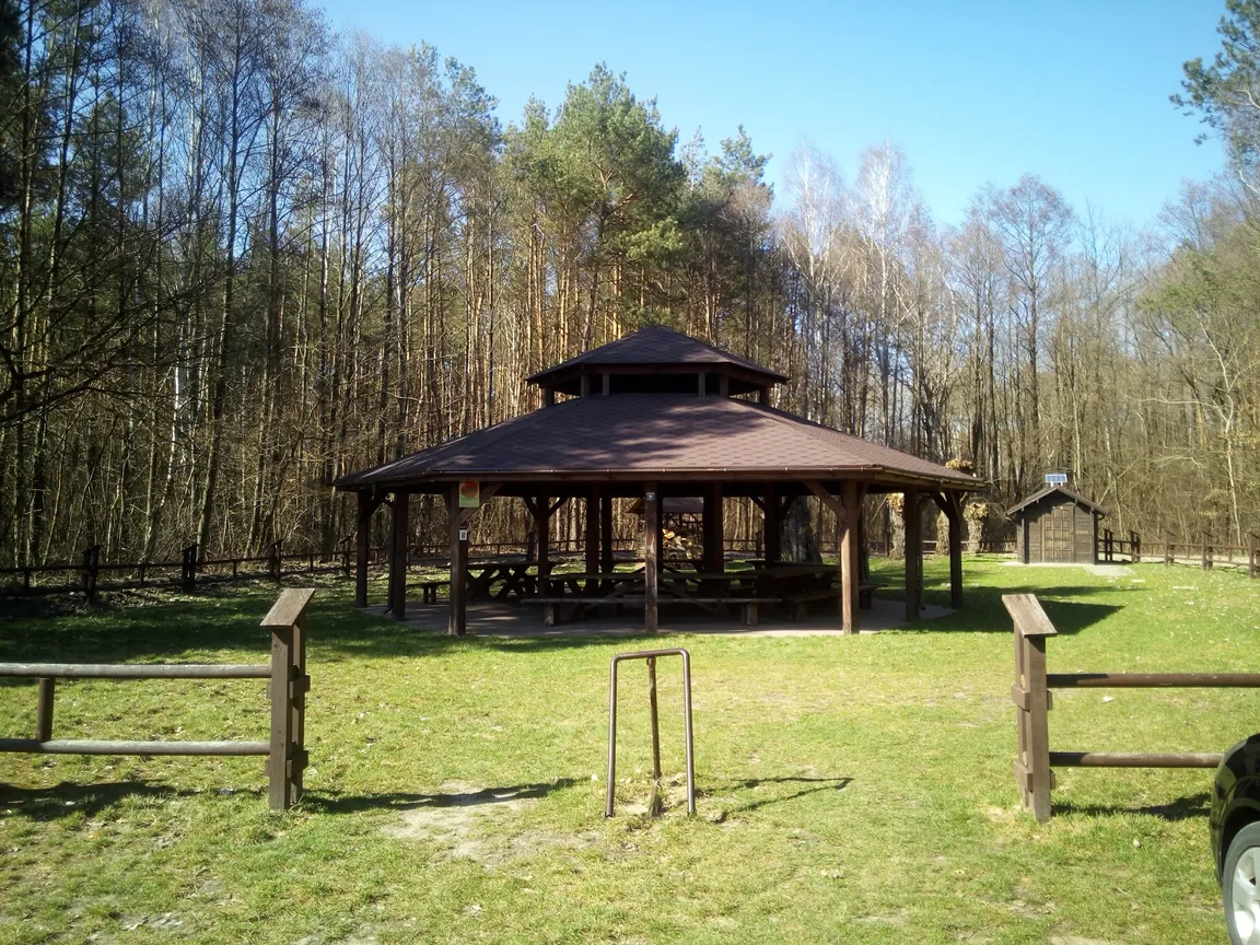 Poleski Park Narodowy