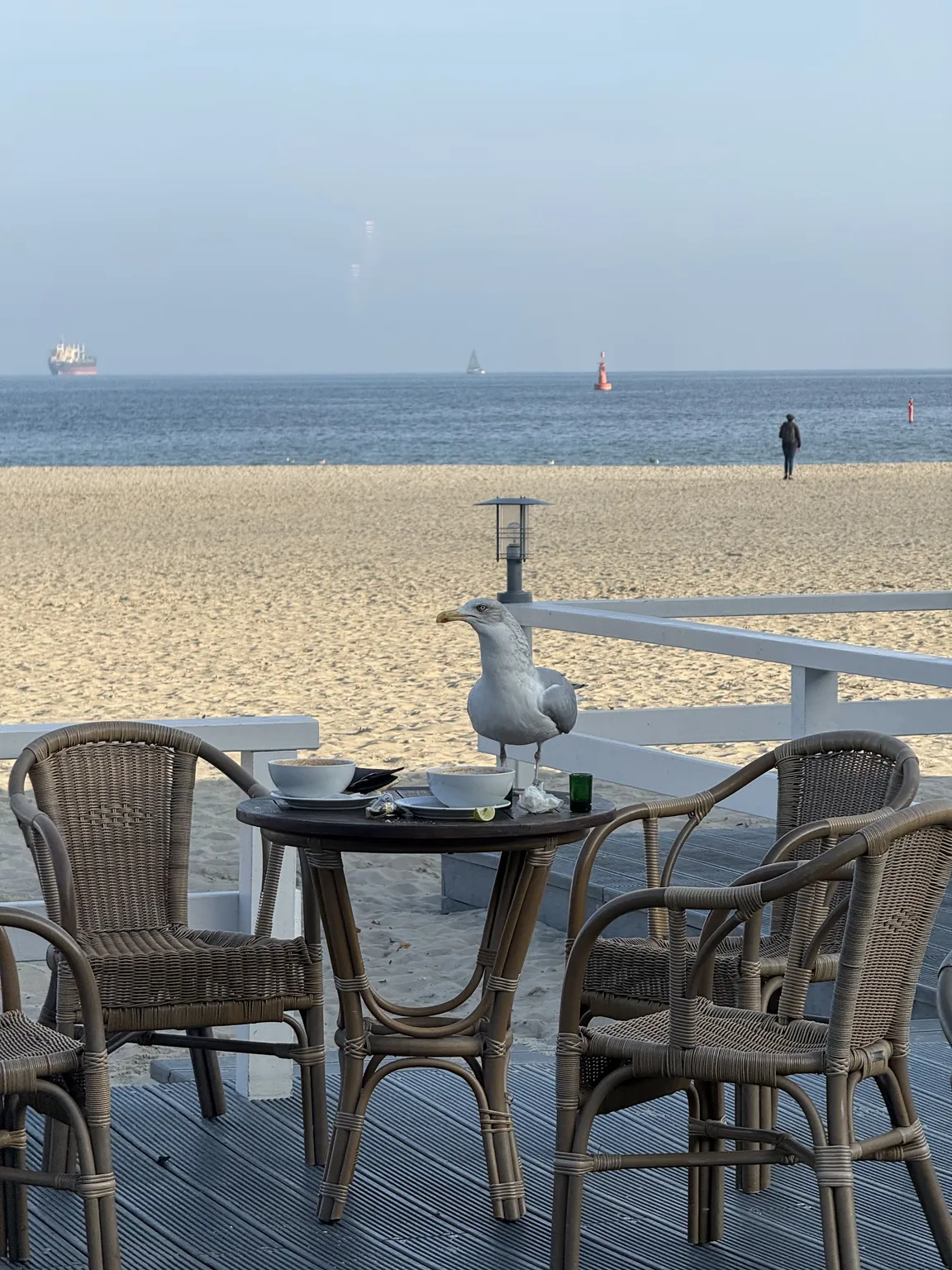 Contrast Cafe Gdynia
