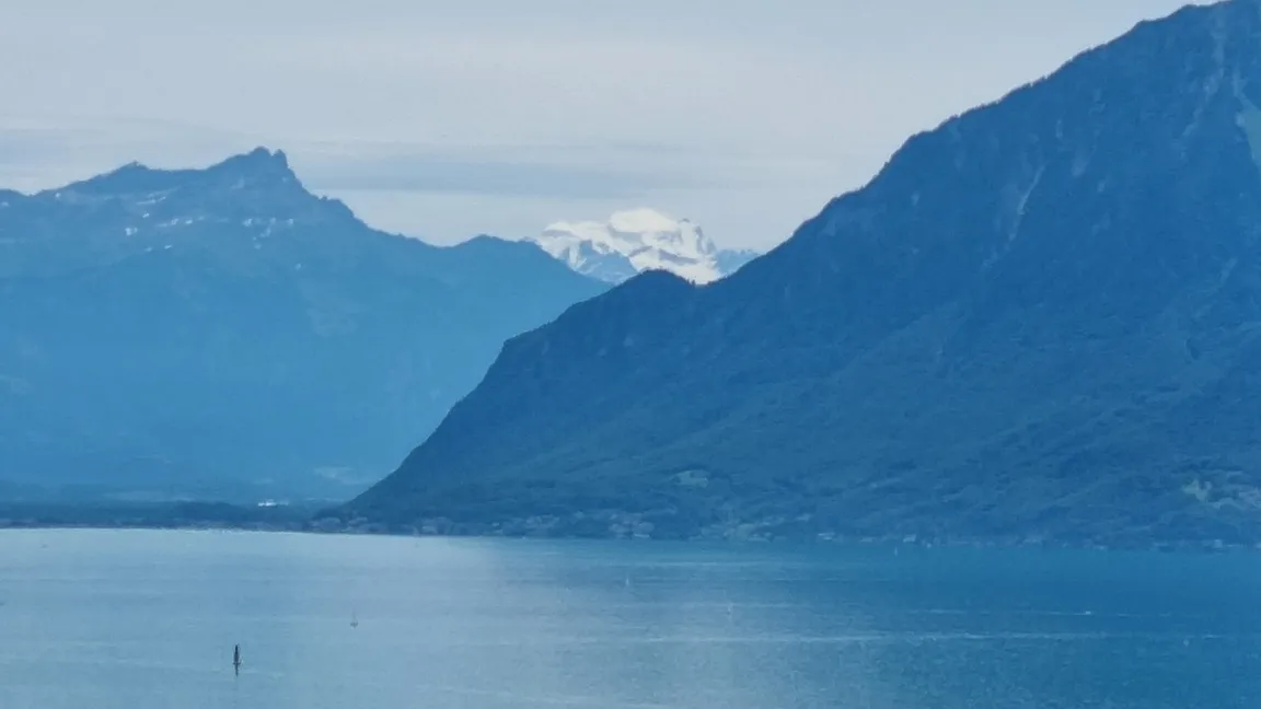 Les vignes de Lavaux