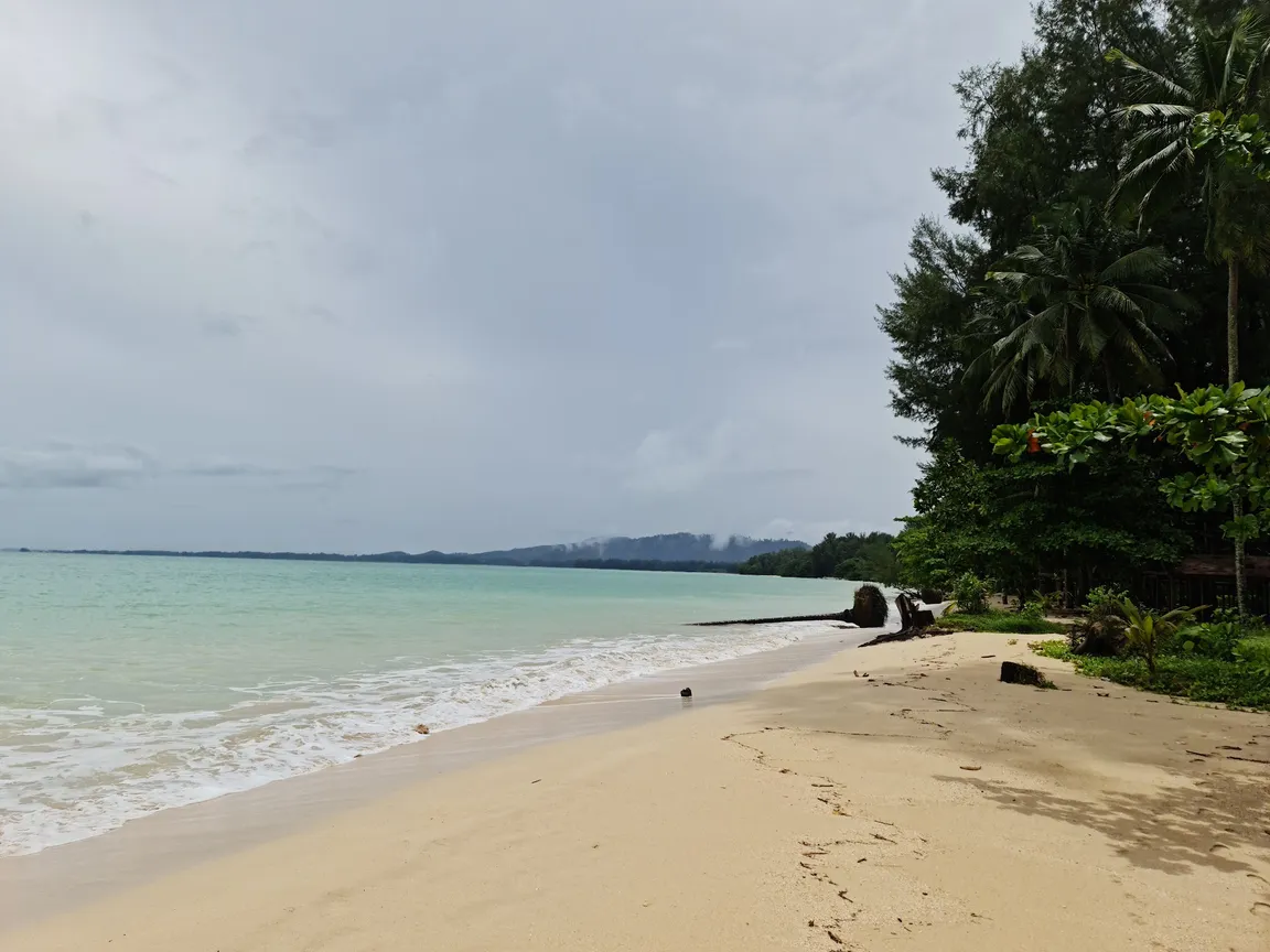Coconut beach