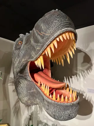 William P. Wall Museum of Natural History