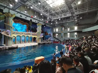 Zhengzhou Aquarium