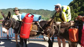 Eselwanderungen