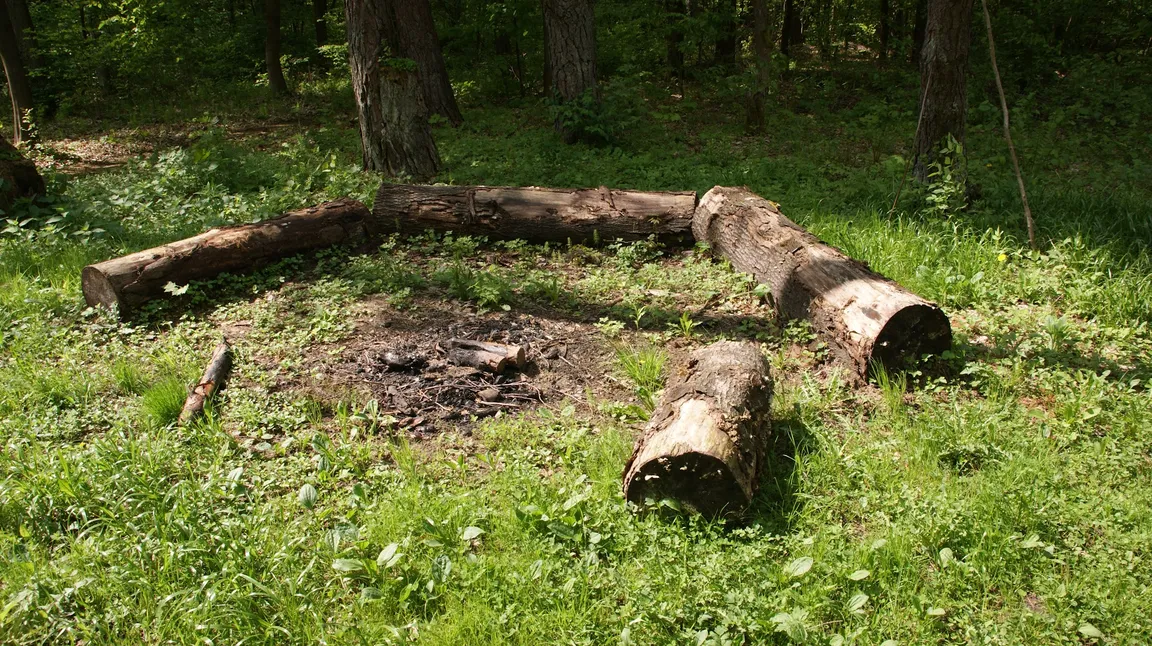 Bike Park Poręby