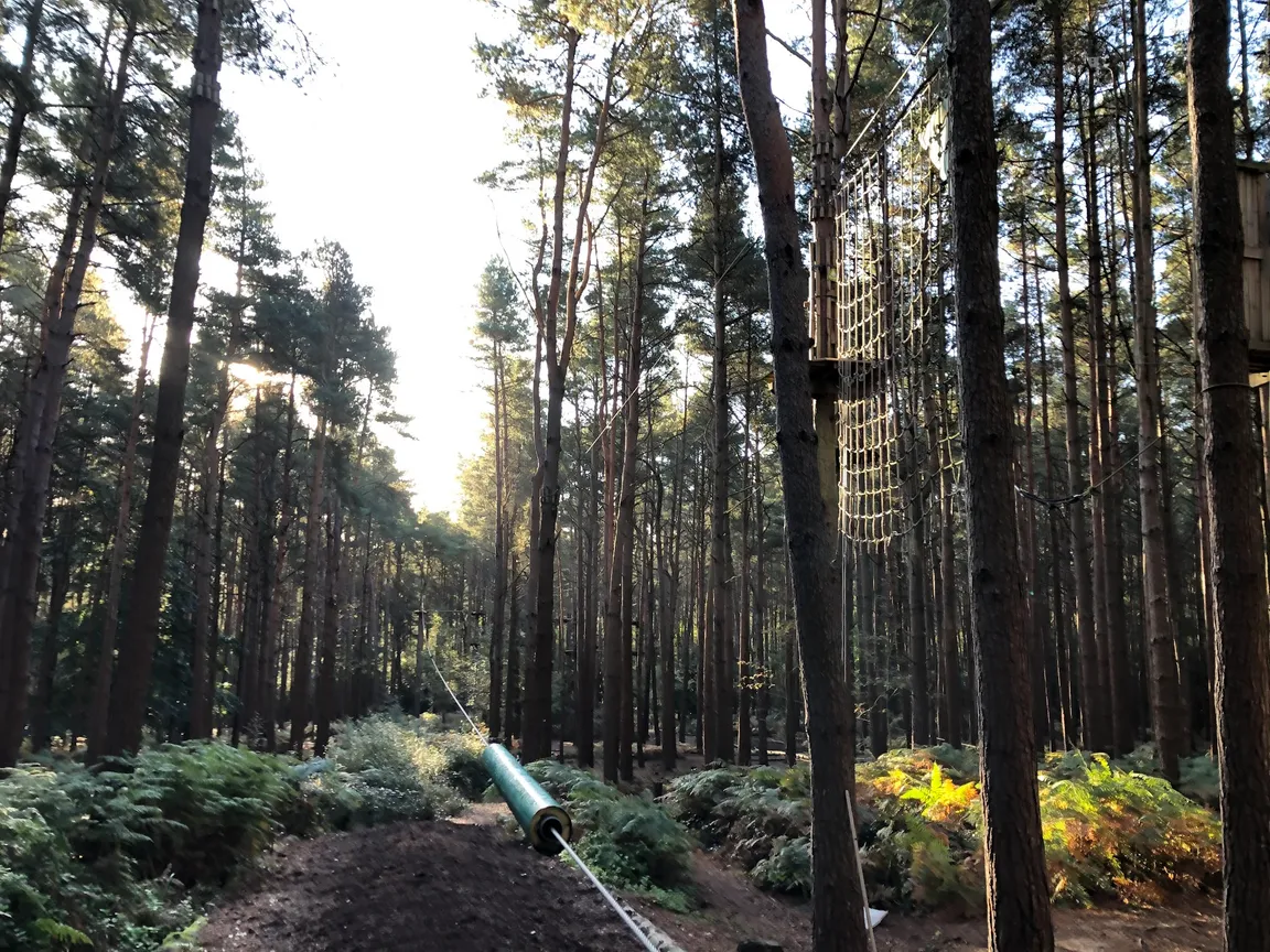 Go Ape Crawley