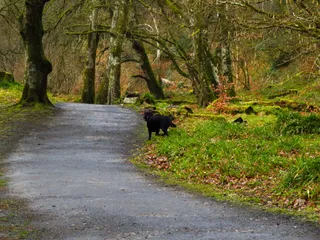 Ness Country Park
