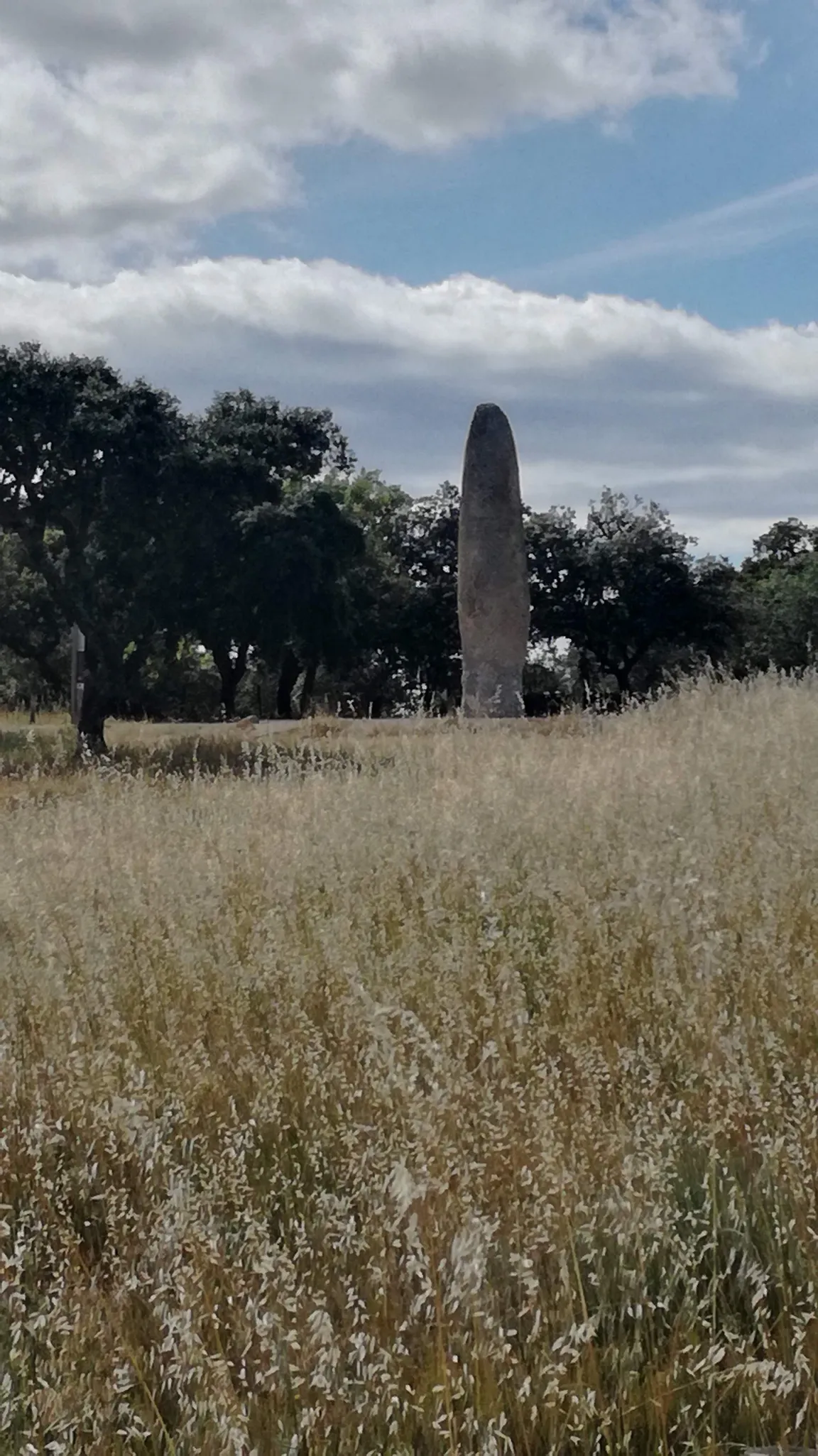 Menhir Meada