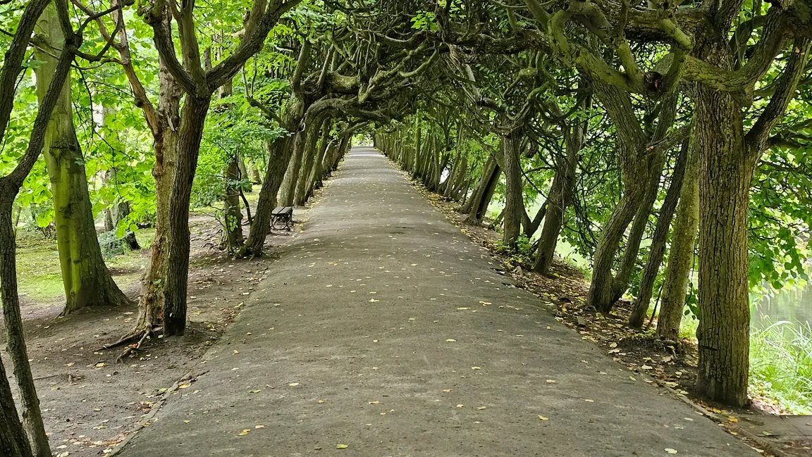 Park Oliwski im. Adama Mickiewicza