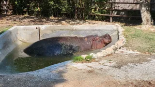 Parco Zoo Falconara Srl