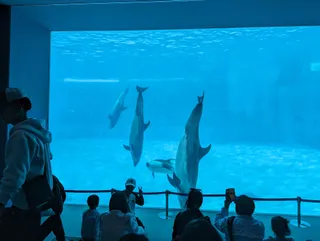 Port Of Nagoya Public Aquarium