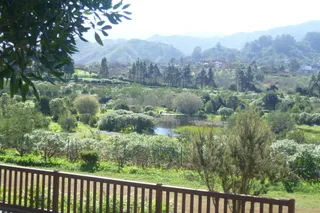 Área Recreativa de la Laguna de Valleseco