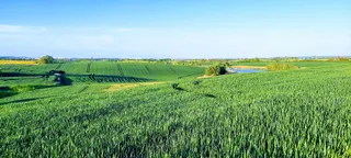 Ścieżka rowerowa Warnik - Karwowo