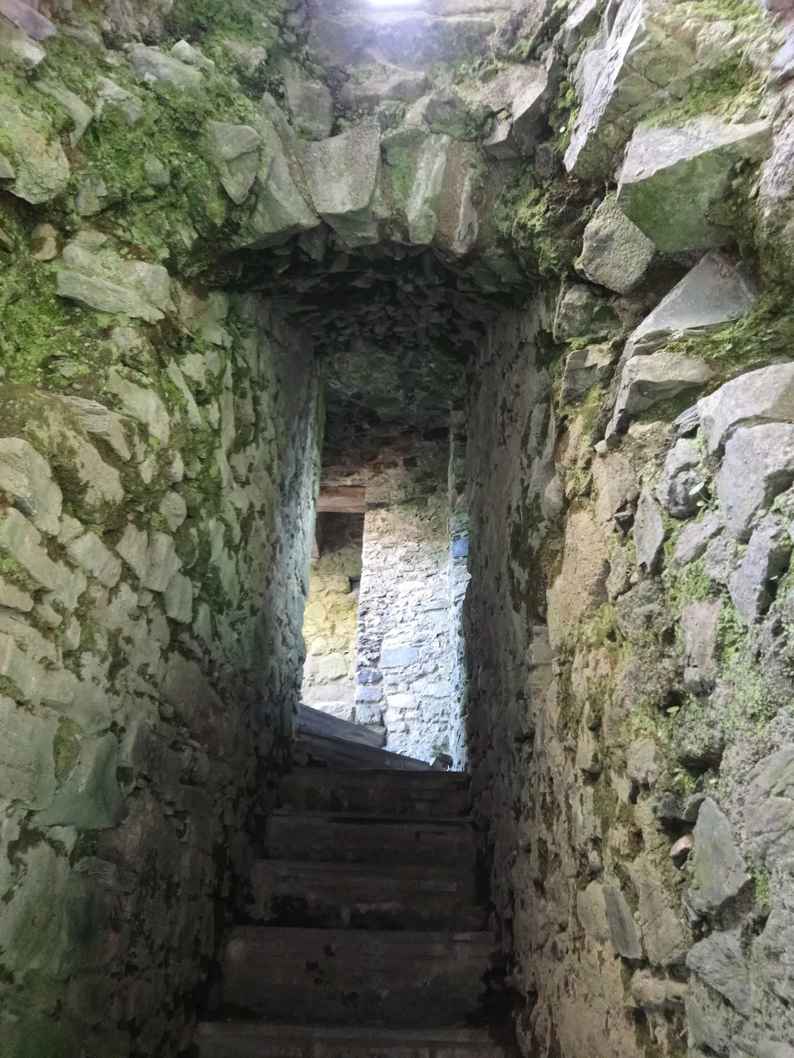 Lydford Castle and Saxon Town