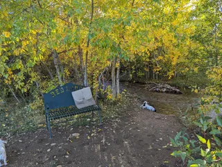 Double Ditch Dog Park