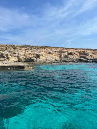 Seahorse Cruises