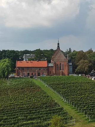 Zamek Królewski w Sandomierzu