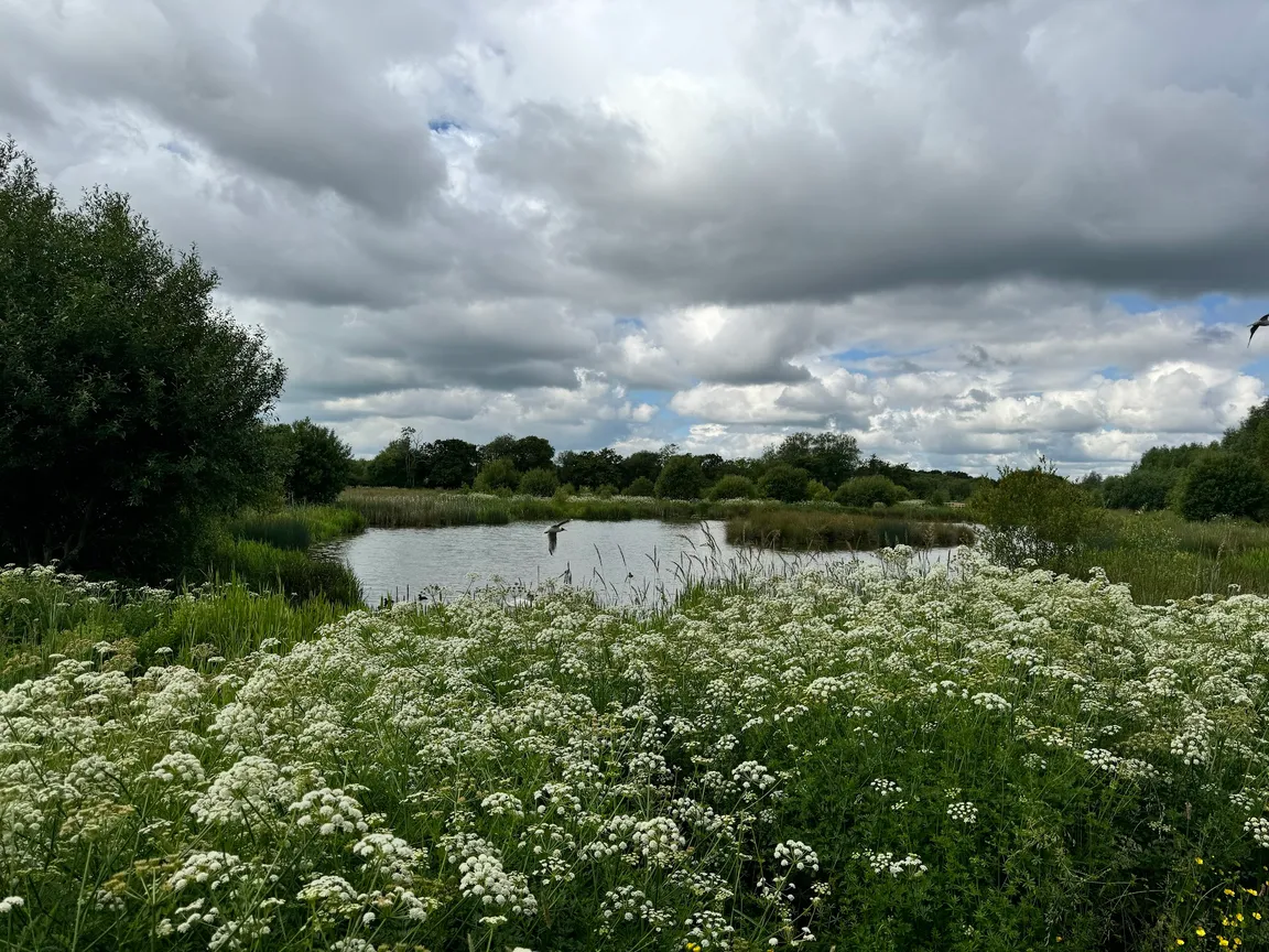 Edenbrook Country Park