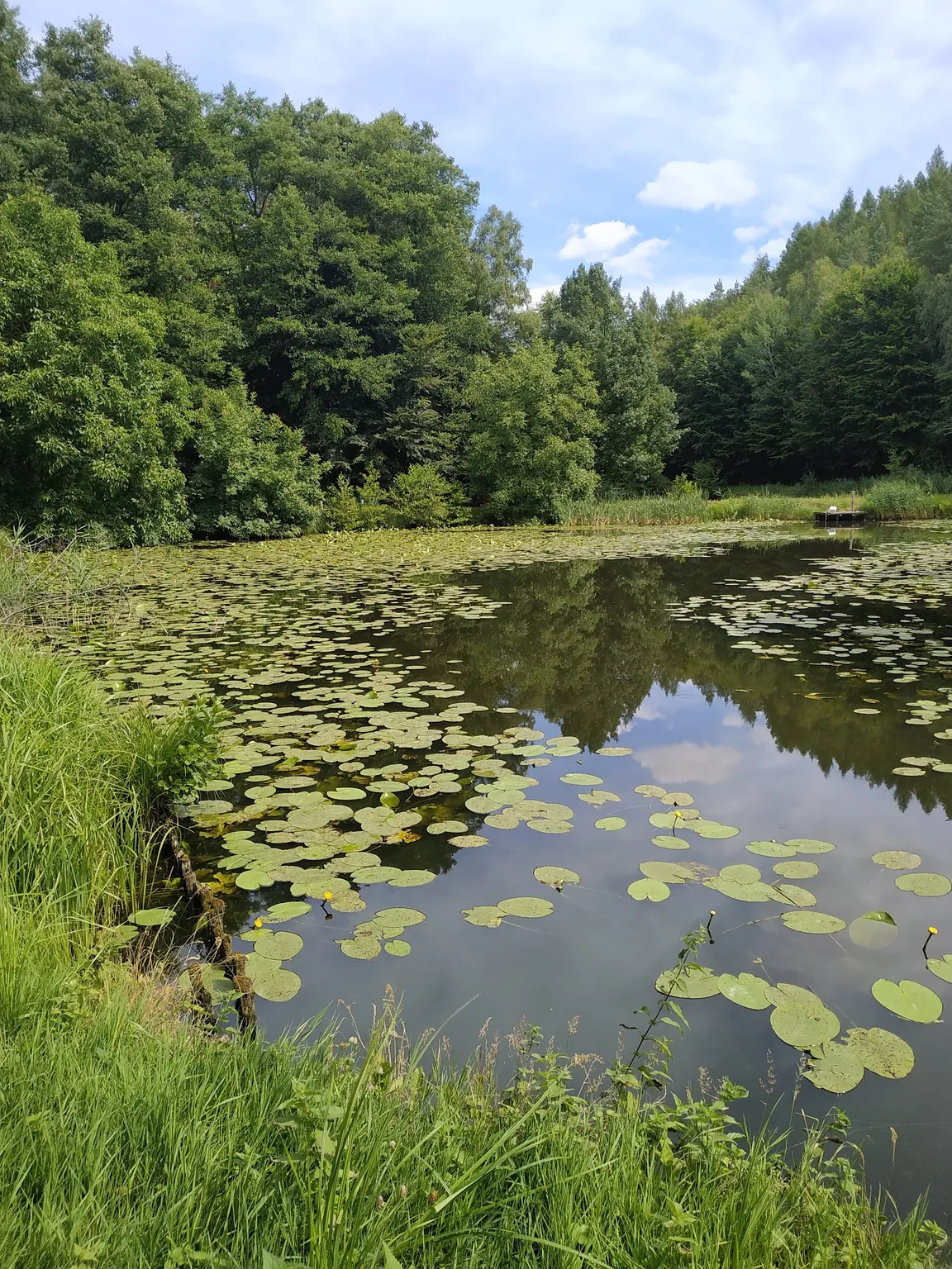 Łagowsko-Sulęciński Park Krajobrazowy