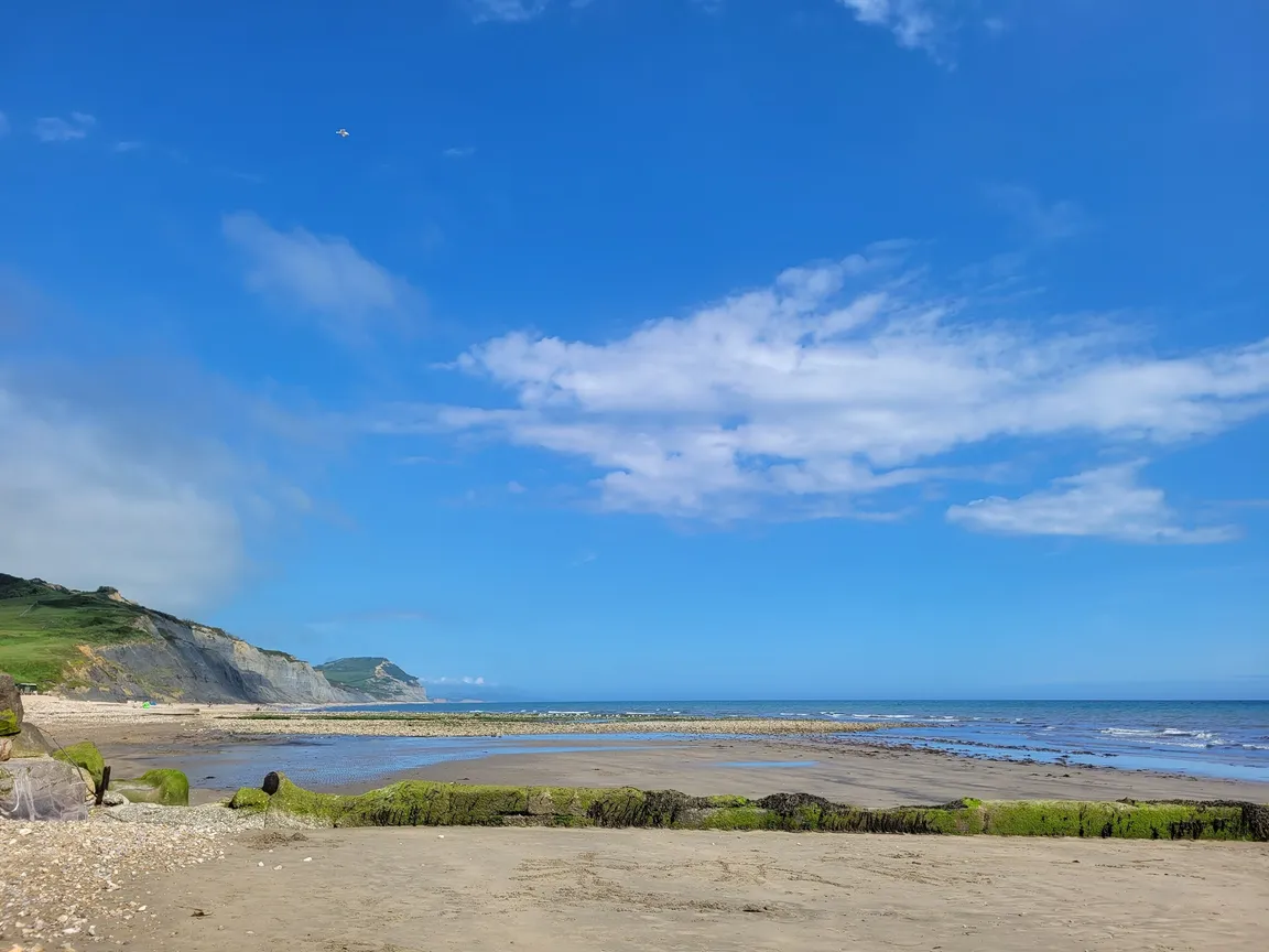 Charmouth Heritage Coast Centre