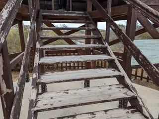 Bird watching hide