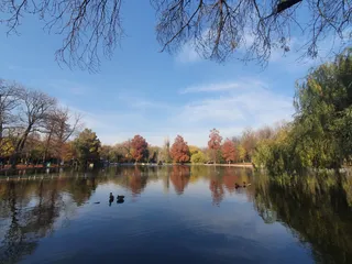 Ogrody Cișmigiu