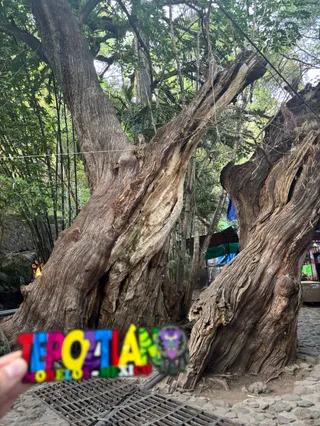 Cruz De Axitla. Tepoztlán