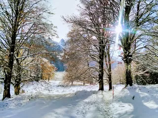 Koenig Max Weg