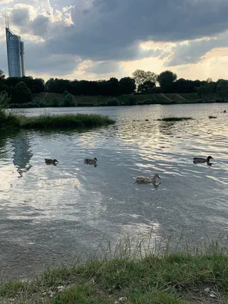 Familienbadestrand Neue Donau