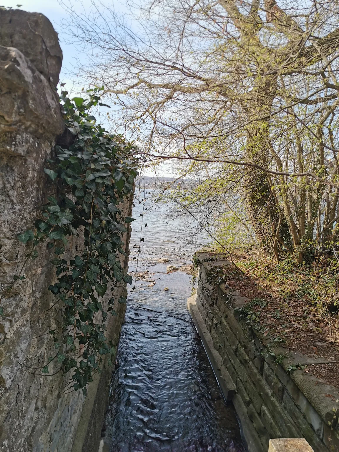 Hörnle Uferspaziergang