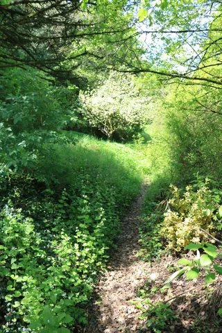 Bürgerbräu Park