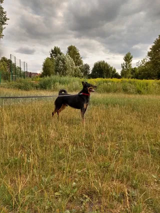 Stadion Pabianickiego Towarzystwa Cyklistów