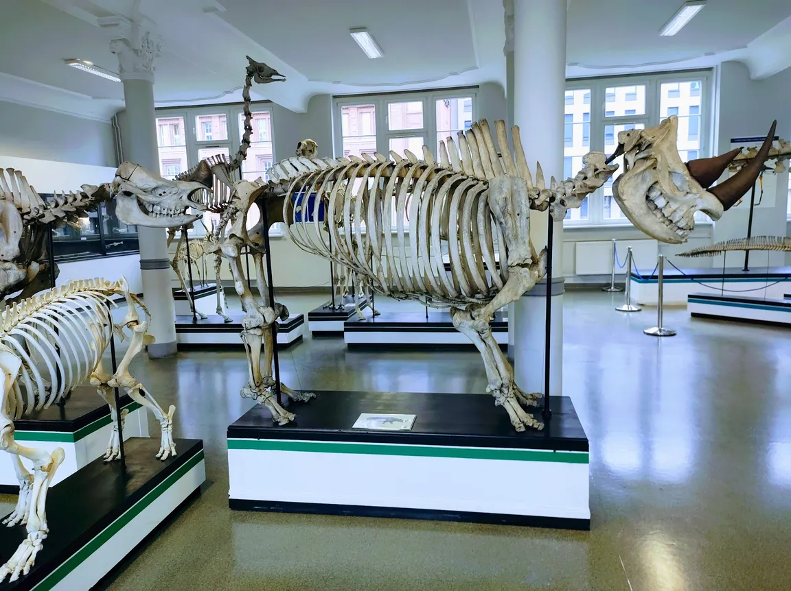 Muzeum Przyrodnicze