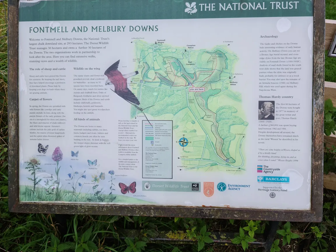 National Trust - Fontmell and Melbury Downs