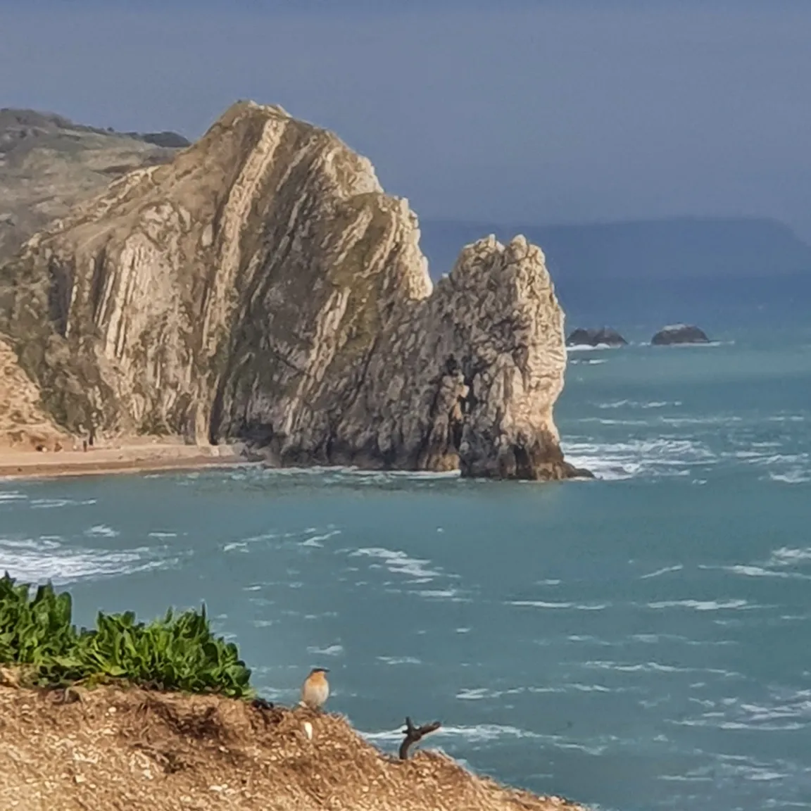 South coast path