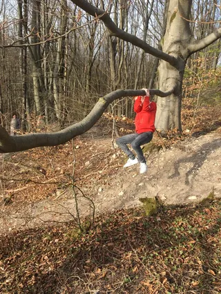 Aussichtspunkt am Reisberg