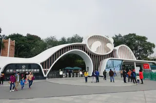Chengdu Research Base of Giant Panda Breeding