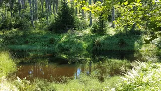 Bildstein