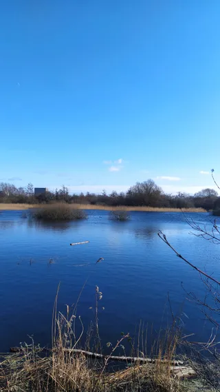Naturpark Amager - Havneslusen Nord