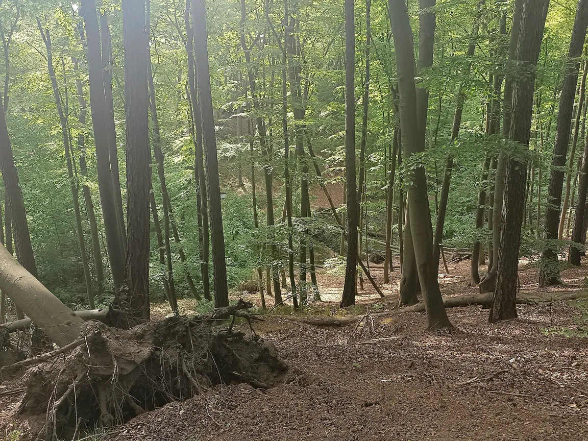Łagowsko-Sulęciński Park Krajobrazowy