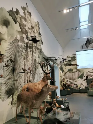 Natural History Museum St. Gallen